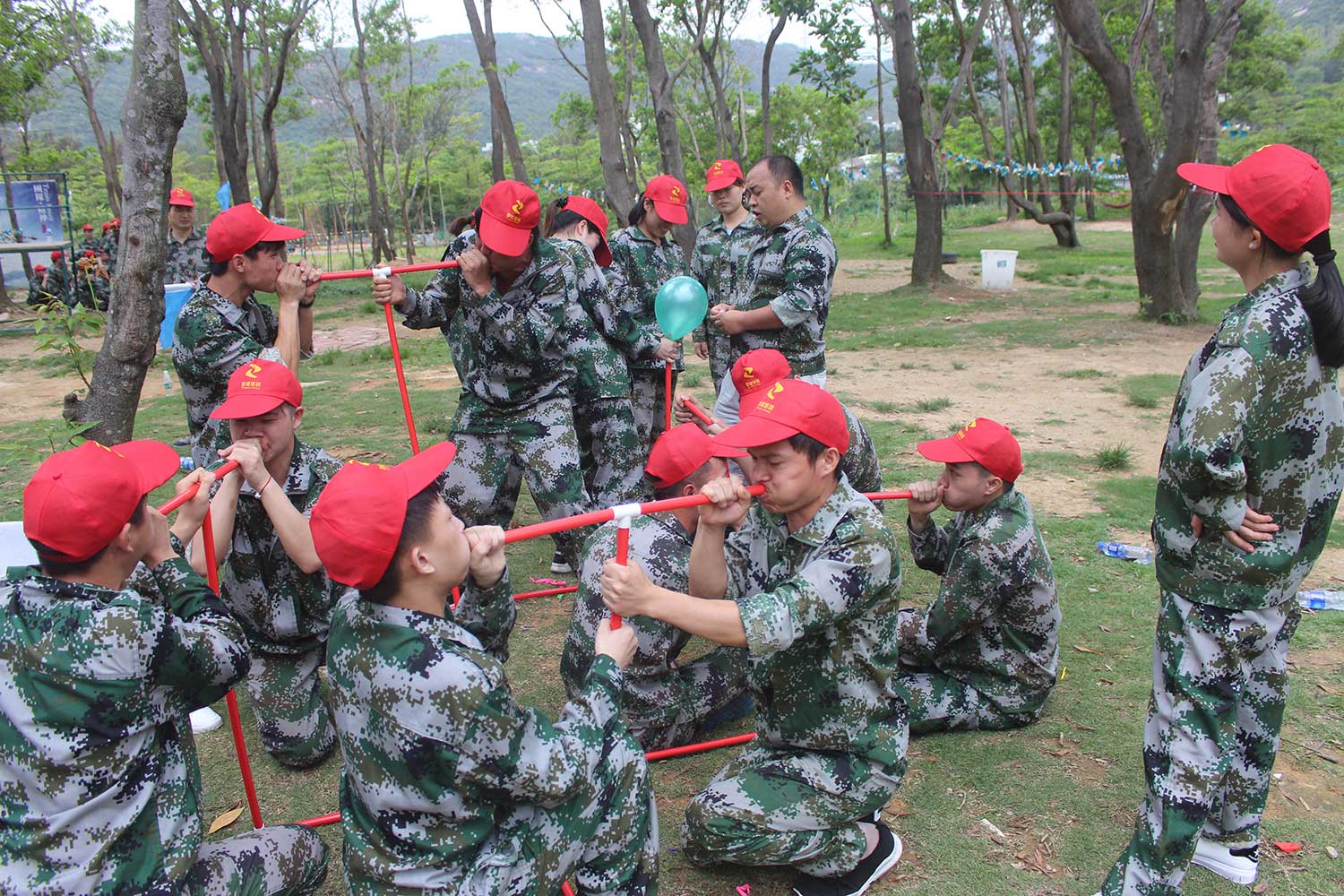 拓展訓練心得：團隊需要合作也需要競爭